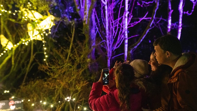 A family in a garden at night looking at the light display.